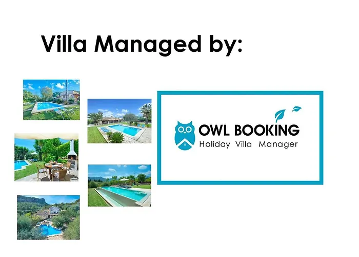 Villa Owl Mir - Luxury Retreat *