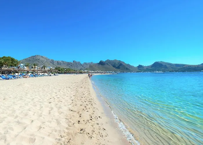 Owl Mir - Luxury Retreat